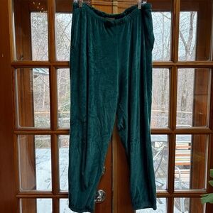 Teal Velvet Women's Pants